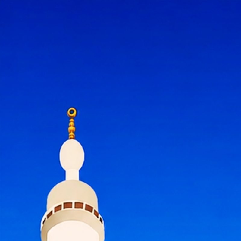 Profile picture of ali